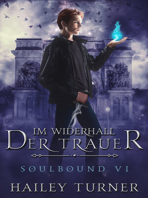 cover image of Im Widerhall der Trauer